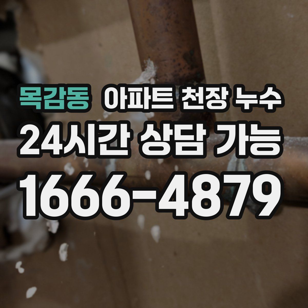 목감동 아파트 천장 누수