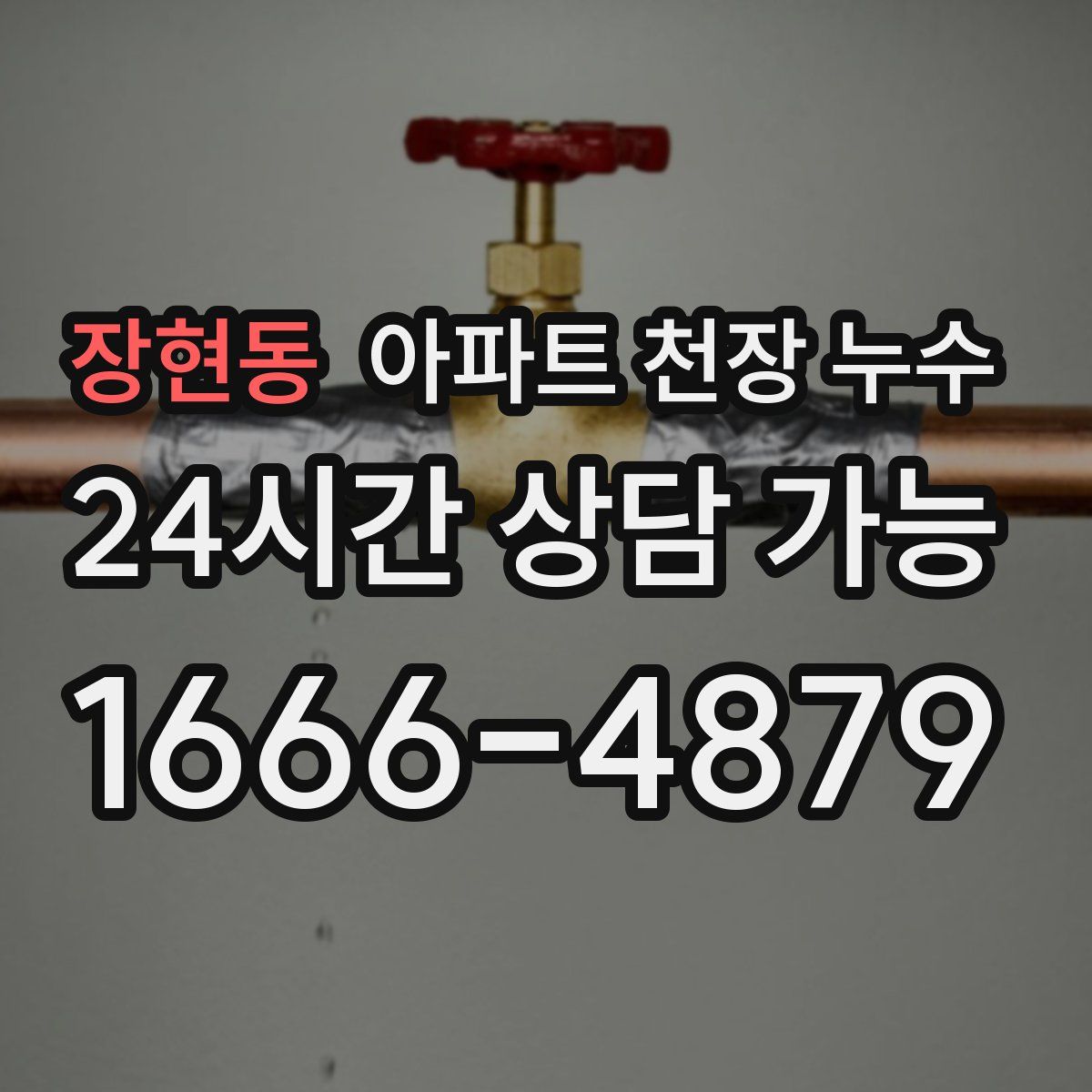장현동 아파트 천장 누수