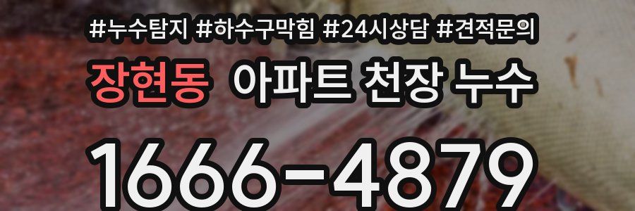 장현동 아파트 천장 누수
