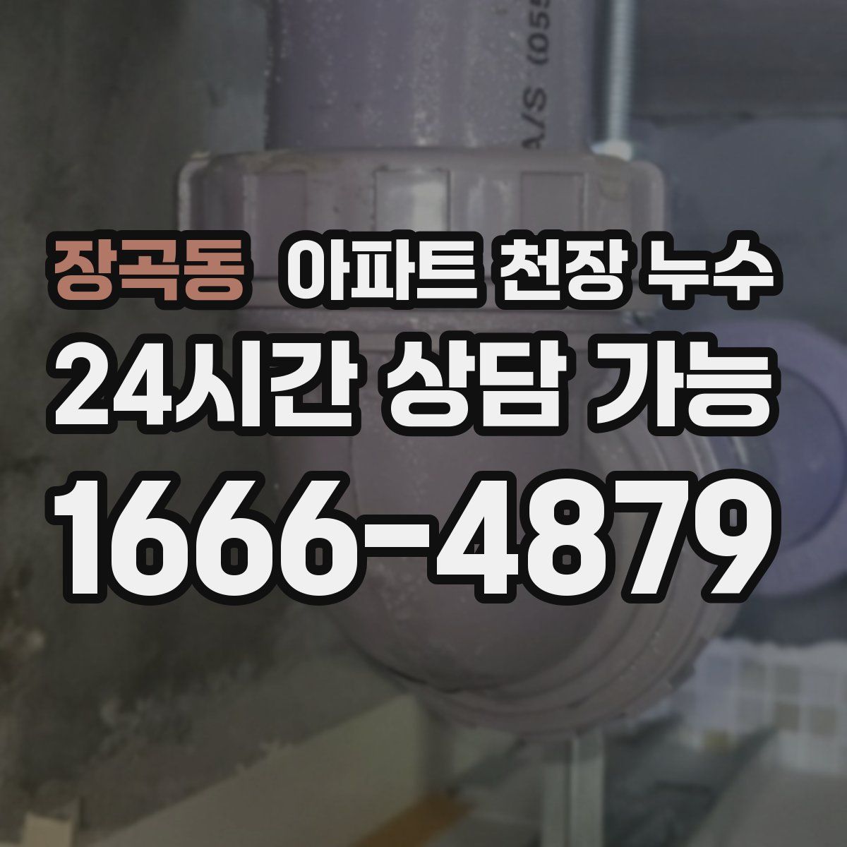 장곡동 아파트 천장 누수