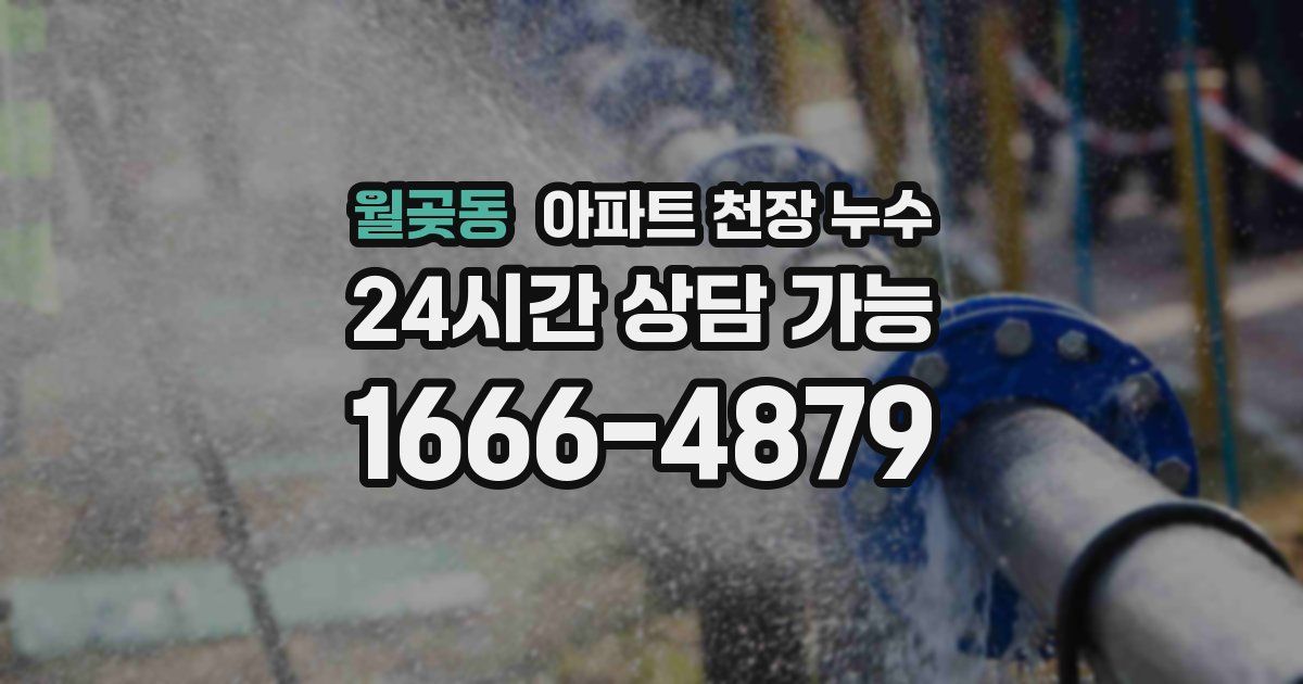월곶동 아파트 천장 누수