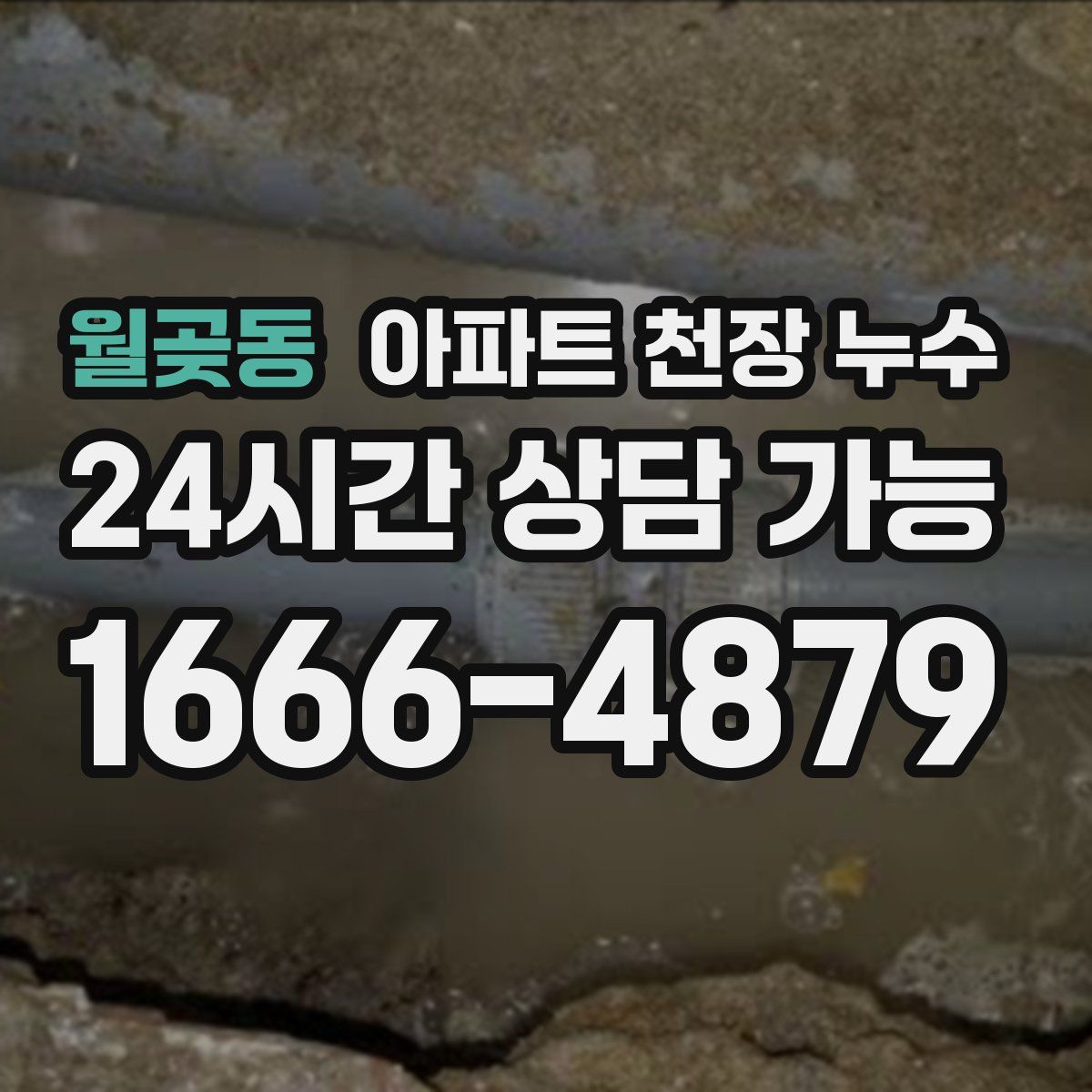월곶동 아파트 천장 누수
