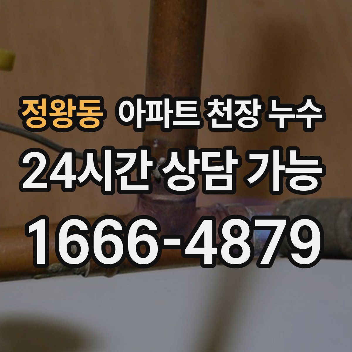 정왕동 아파트 천장 누수