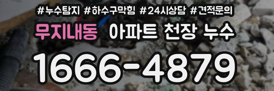 무지내동 아파트 천장 누수