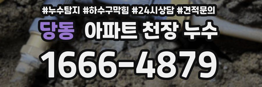 당동 아파트 천장 누수