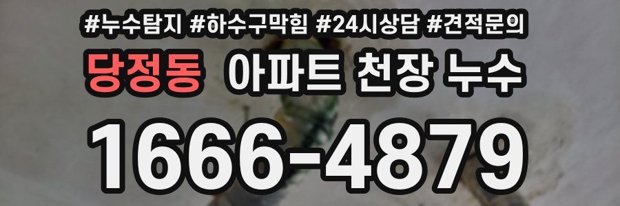 당정동 아파트 천장 누수