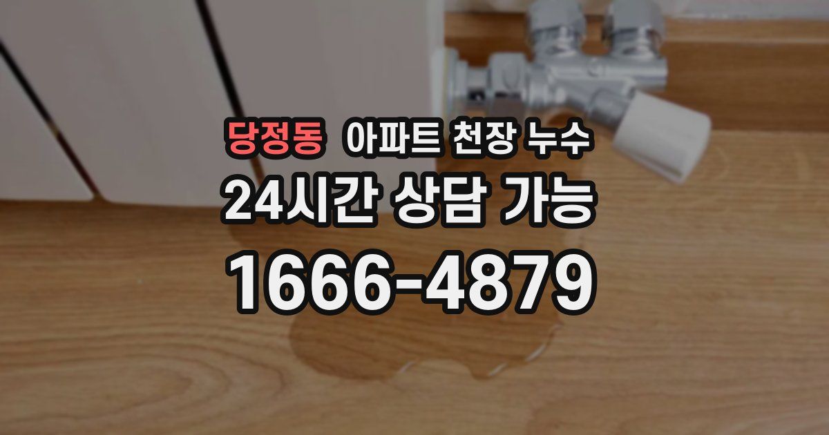 당정동 아파트 천장 누수