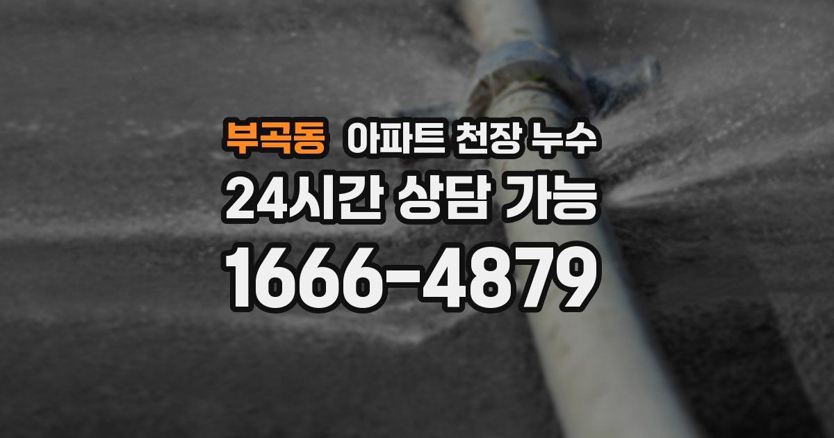 부곡동 아파트 천장 누수
