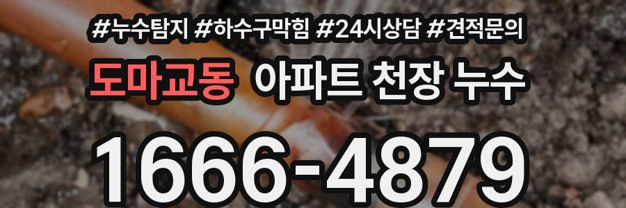 도마교동 아파트 천장 누수