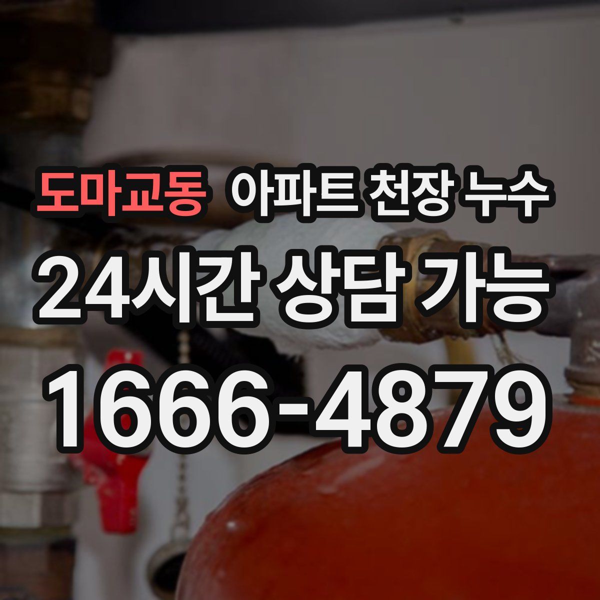 도마교동 아파트 천장 누수