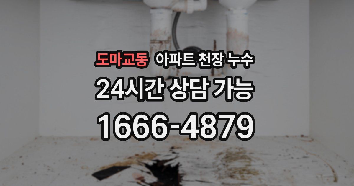 도마교동 아파트 천장 누수
