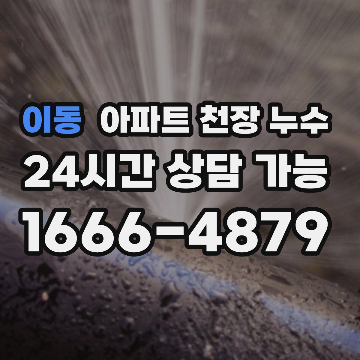 이동 아파트 천장 누수