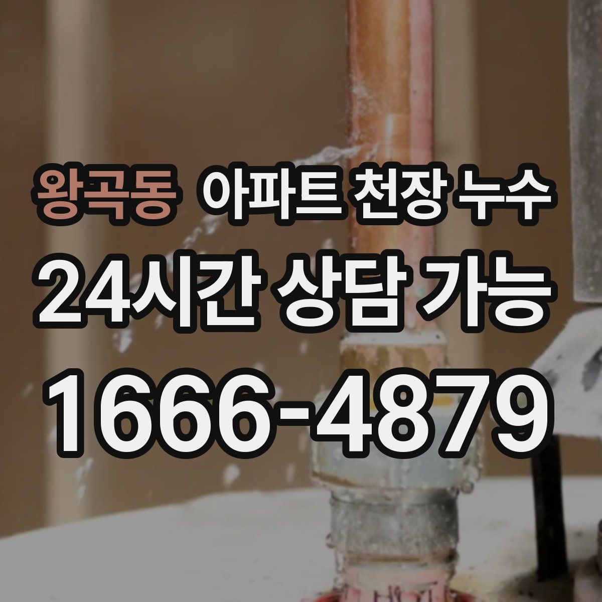 왕곡동 아파트 천장 누수