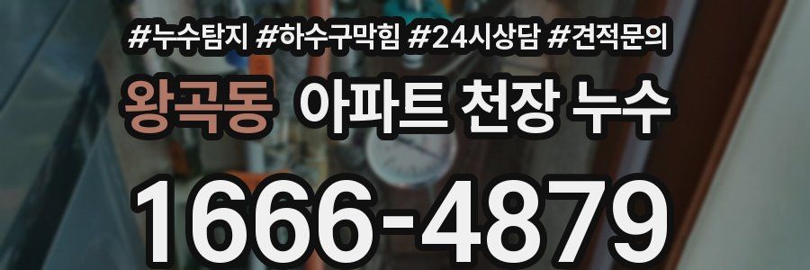 왕곡동 아파트 천장 누수