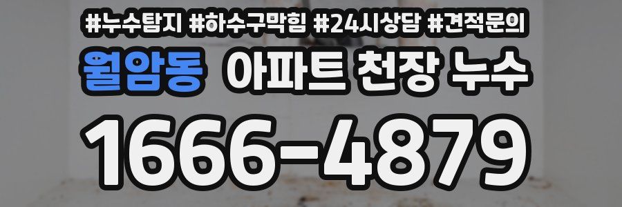 월암동 아파트 천장 누수