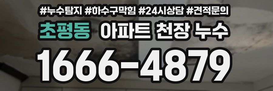 초평동 아파트 천장 누수