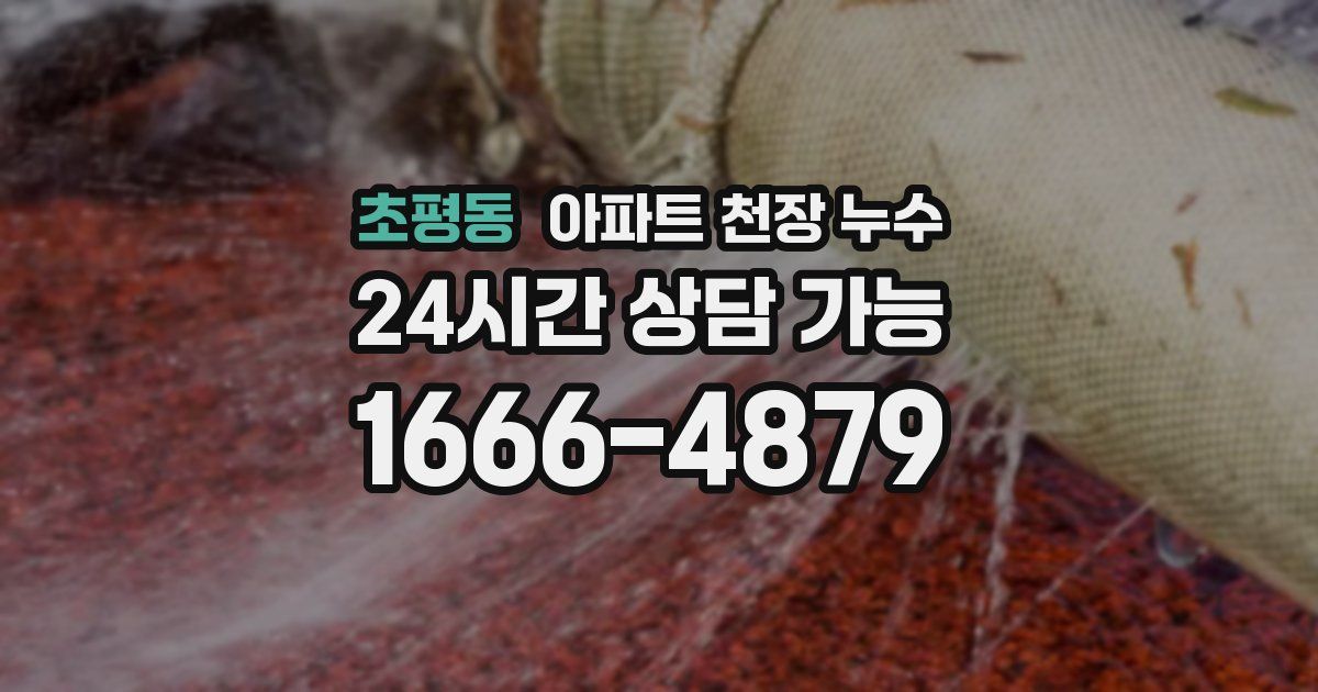 초평동 아파트 천장 누수