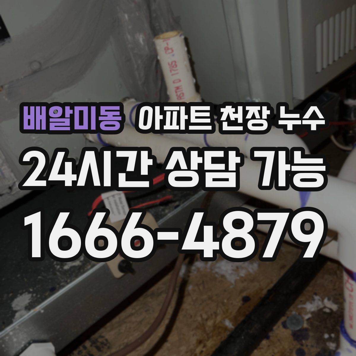 배알미동 아파트 천장 누수