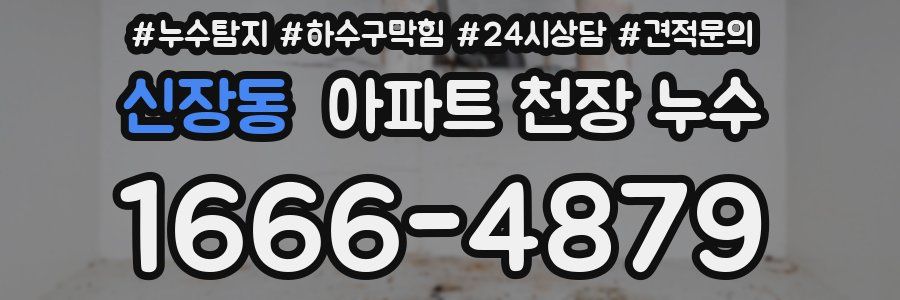 신장동 아파트 천장 누수