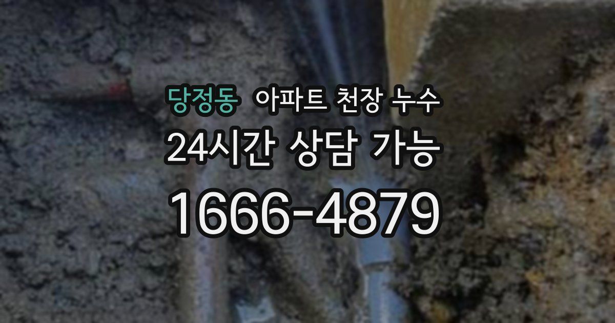 당정동 아파트 천장 누수