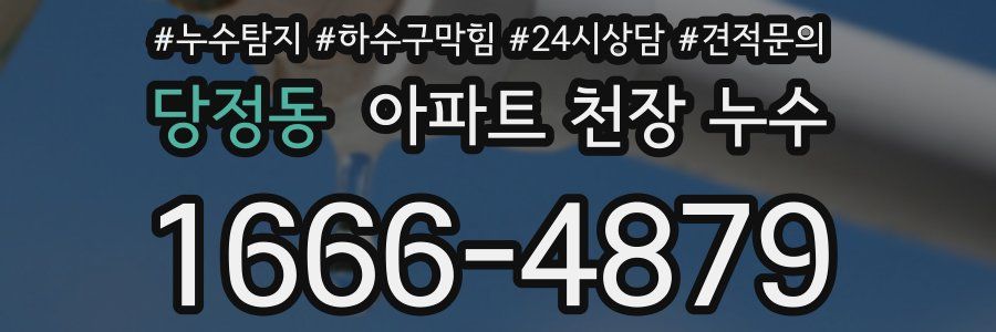 당정동 아파트 천장 누수