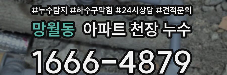 망월동 아파트 천장 누수