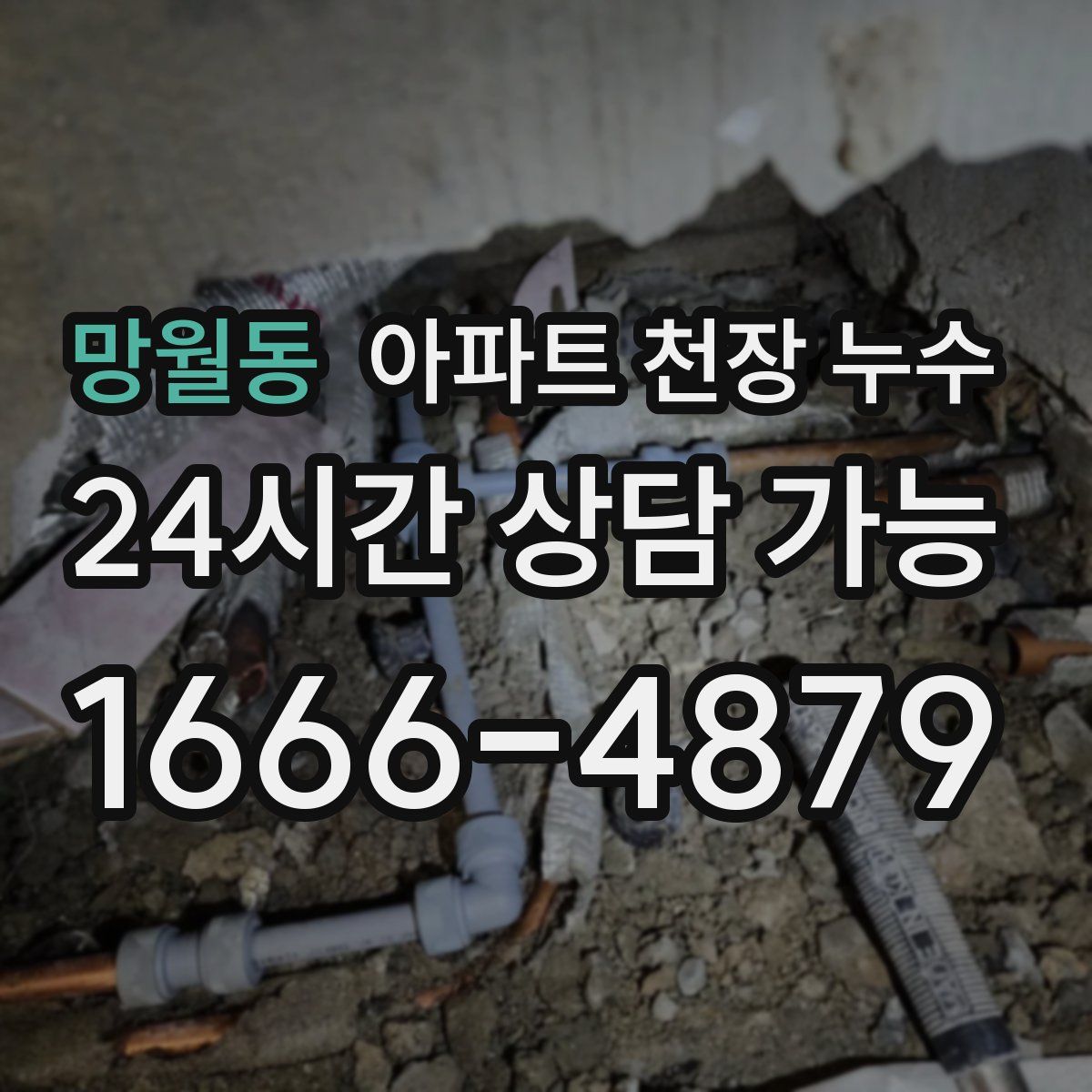 망월동 아파트 천장 누수