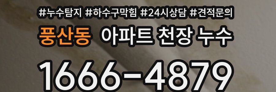 풍산동 아파트 천장 누수