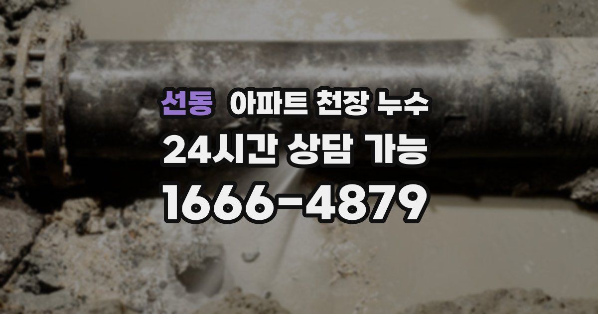 선동 아파트 천장 누수