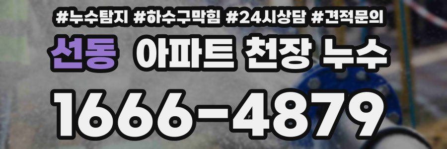 선동 아파트 천장 누수