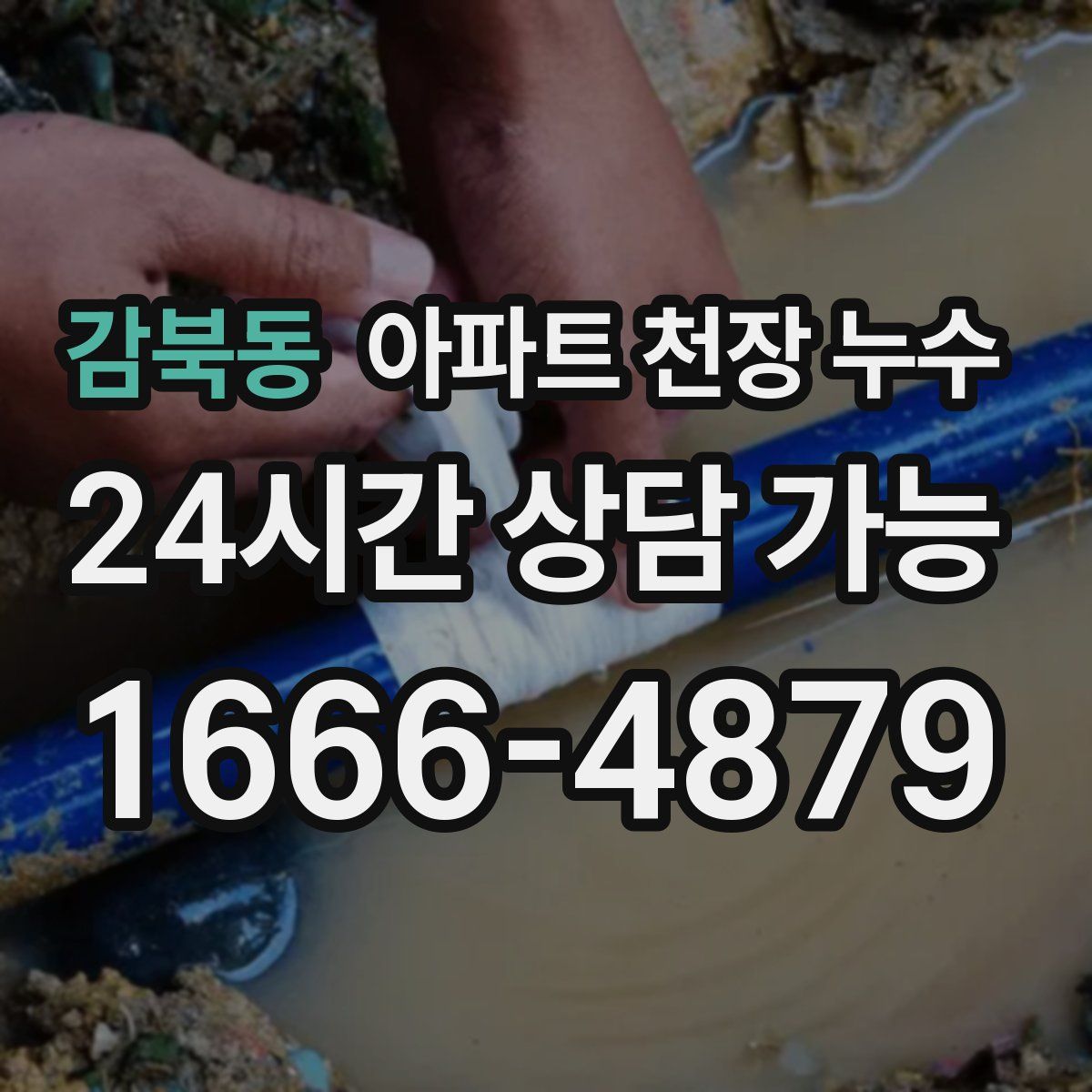 감북동 아파트 천장 누수