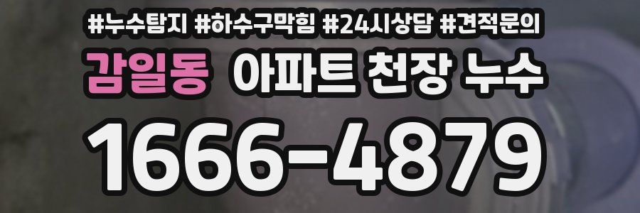 감일동 아파트 천장 누수