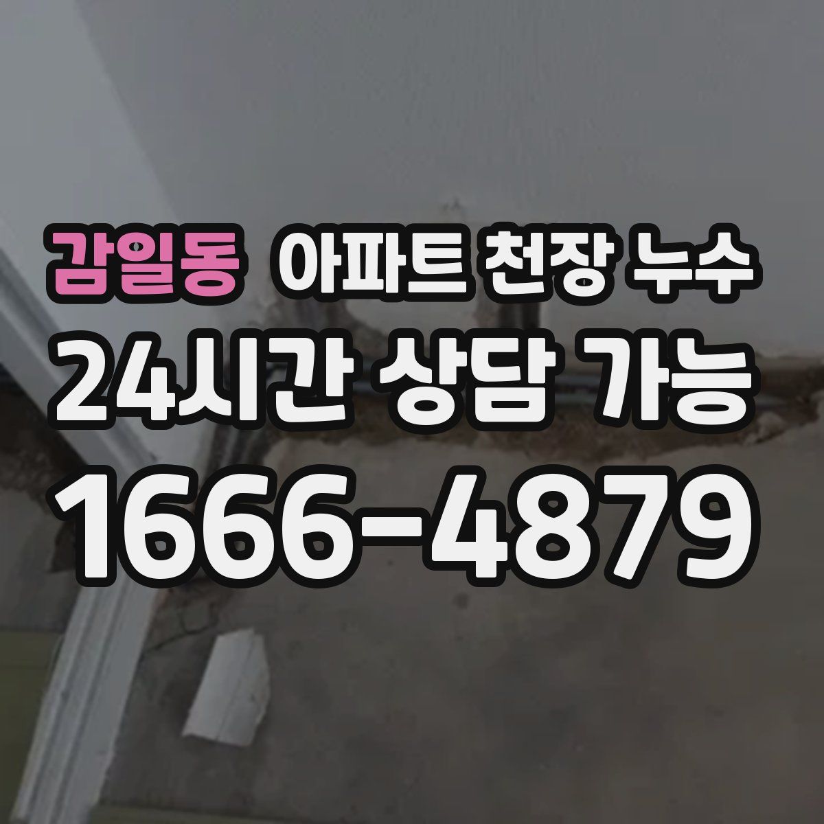 감일동 아파트 천장 누수