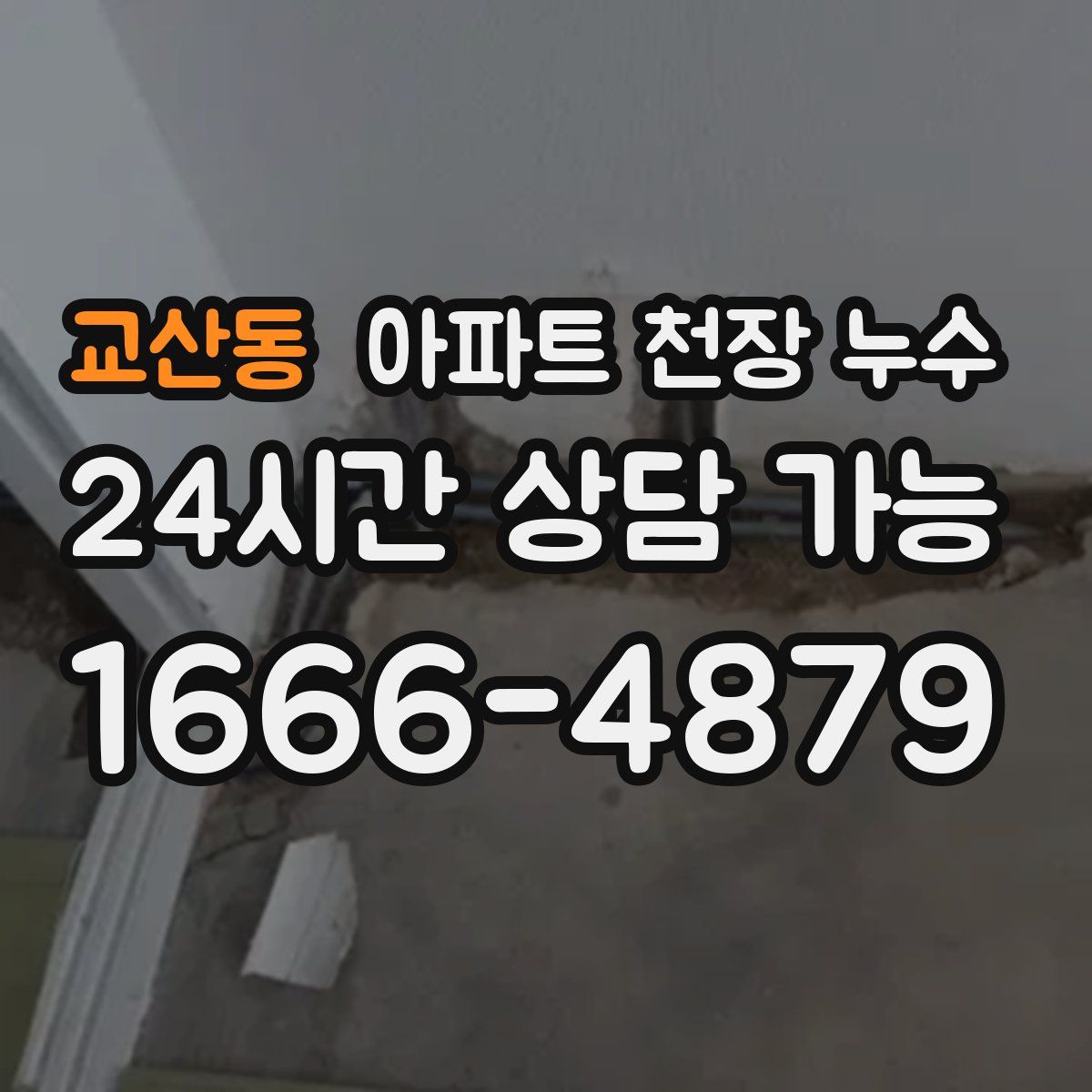 교산동 아파트 천장 누수