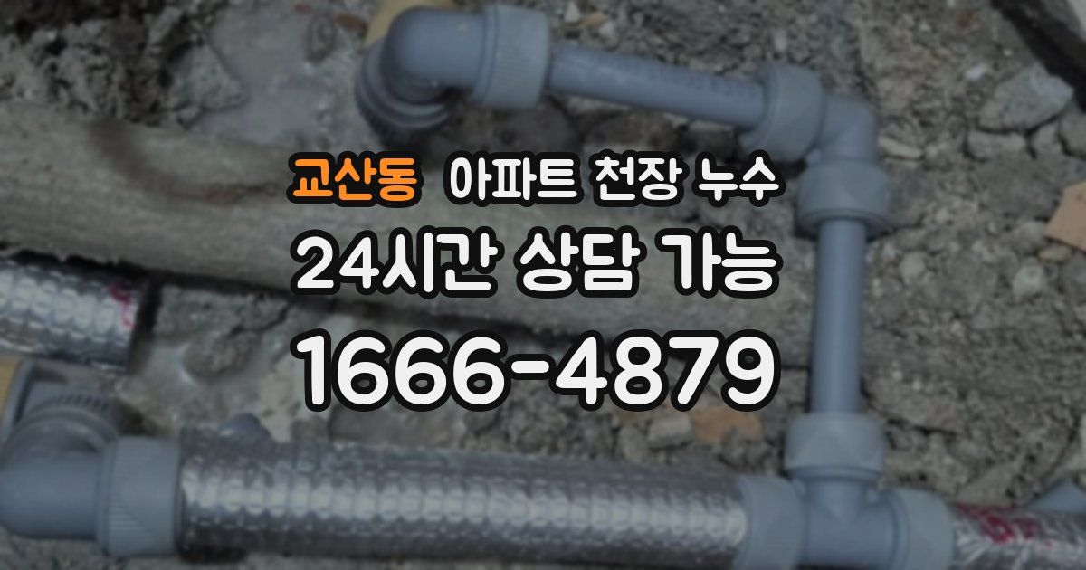 교산동 아파트 천장 누수