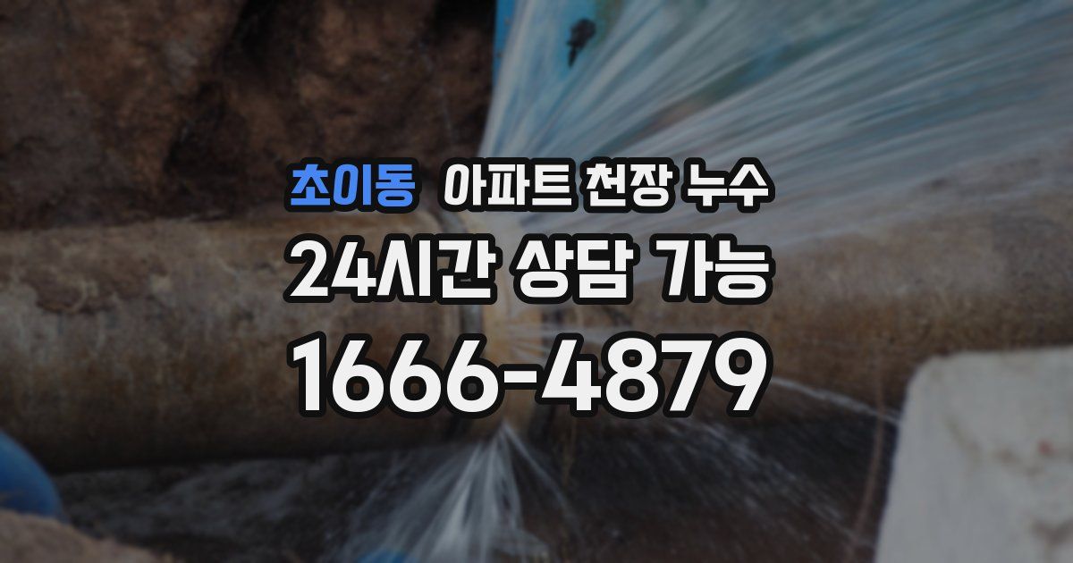 초이동 아파트 천장 누수