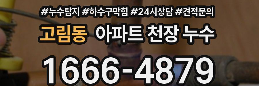 고림동 아파트 천장 누수