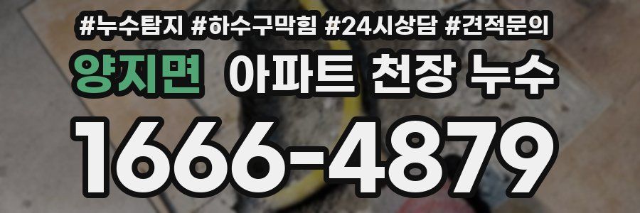 양지면 아파트 천장 누수