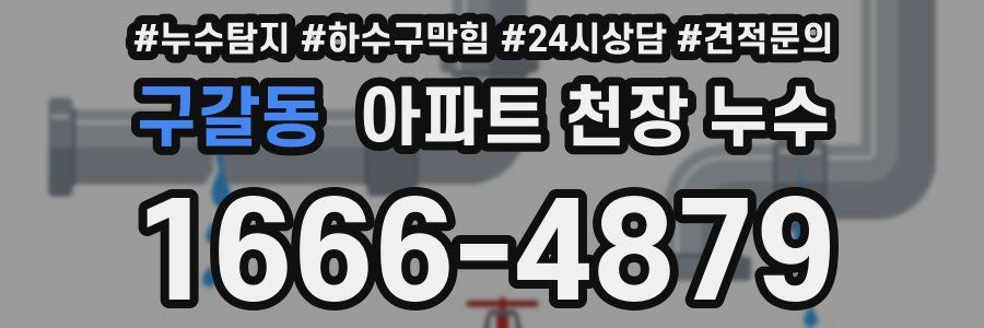 구갈동 아파트 천장 누수