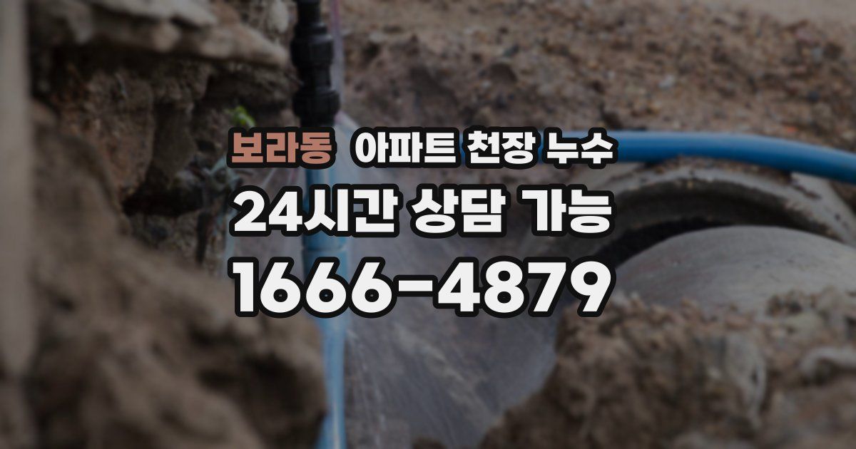 보라동 아파트 천장 누수