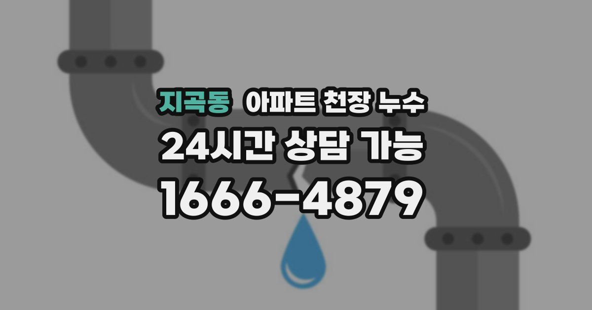 지곡동 아파트 천장 누수