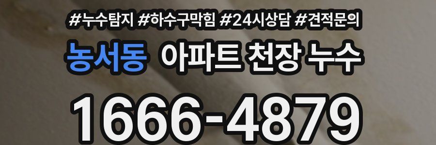농서동 아파트 천장 누수