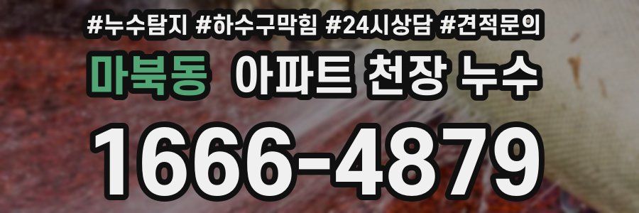마북동 아파트 천장 누수