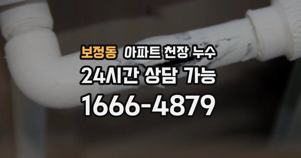 보정동 아파트 천장 누수