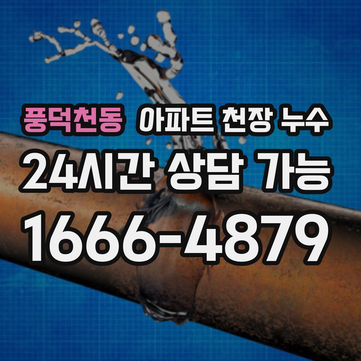 풍덕천동 아파트 천장 누수