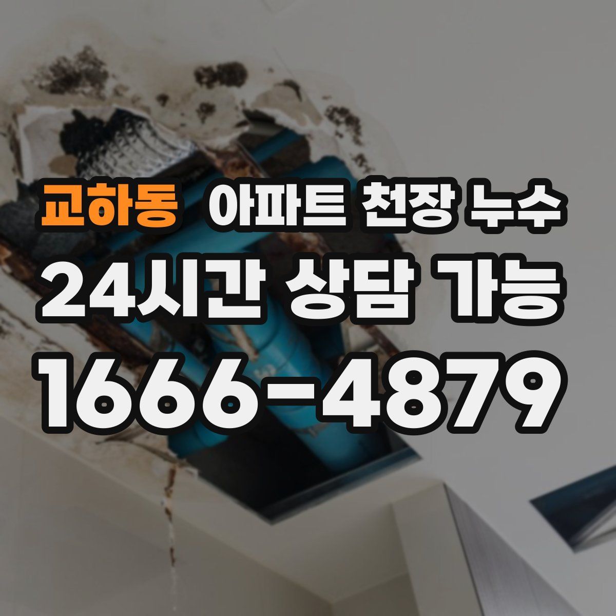 교하동 아파트 천장 누수