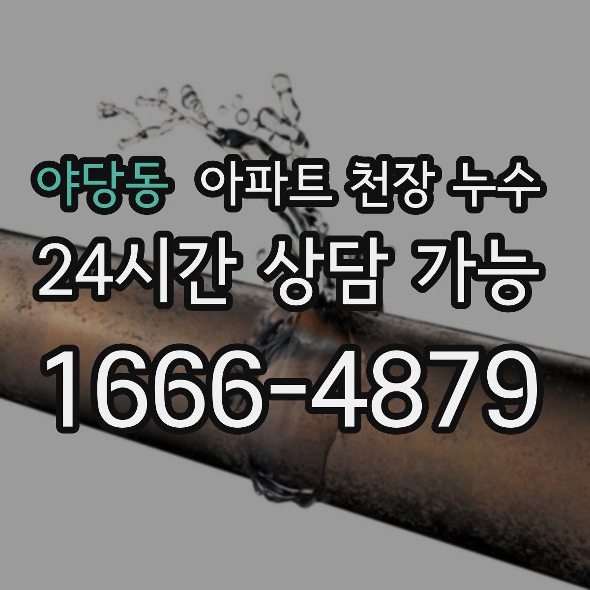 야당동 아파트 천장 누수