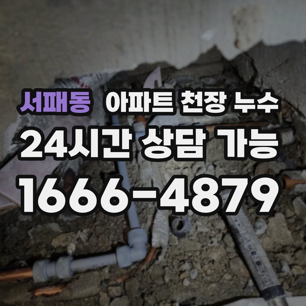 서패동 아파트 천장 누수