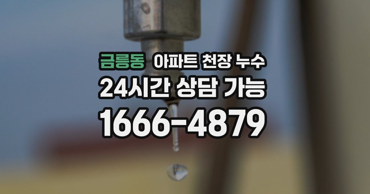 금릉동 아파트 천장 누수