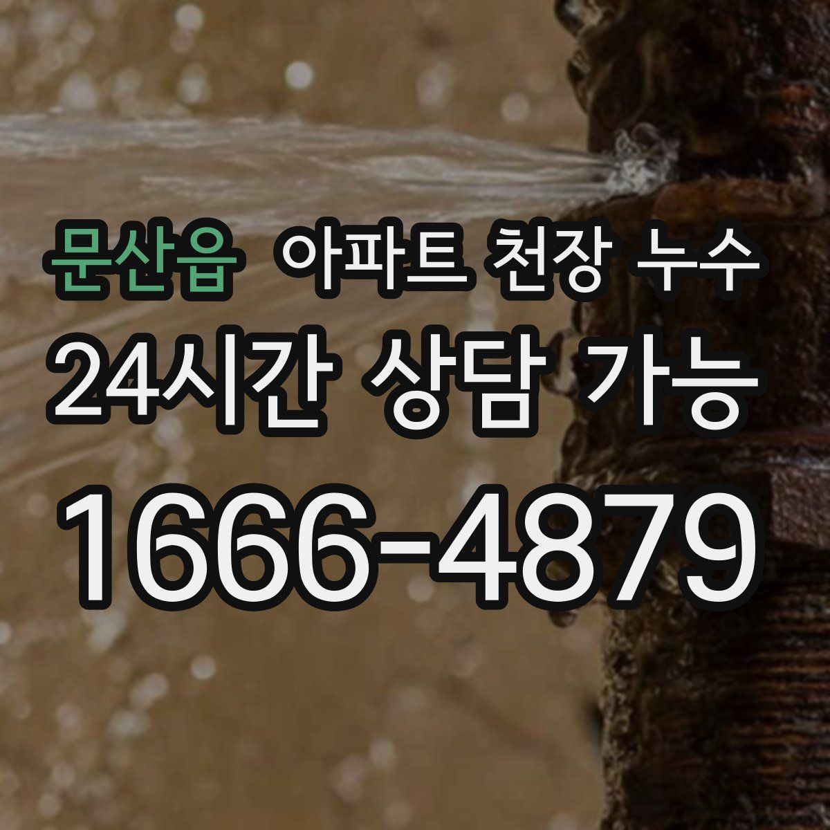 문산읍 아파트 천장 누수